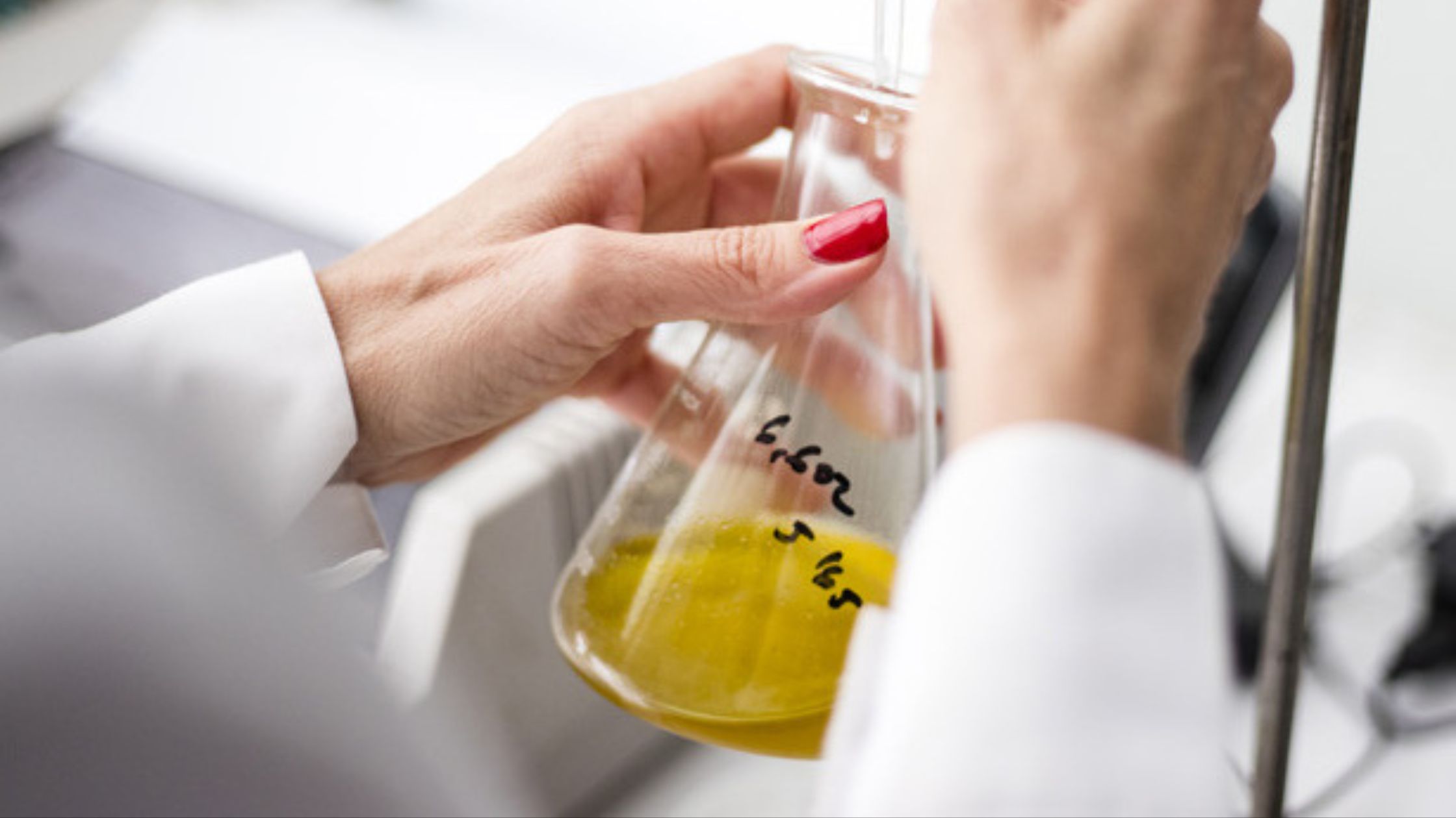 Oil Testing Lab In Delhi at Glenda Puckett blog